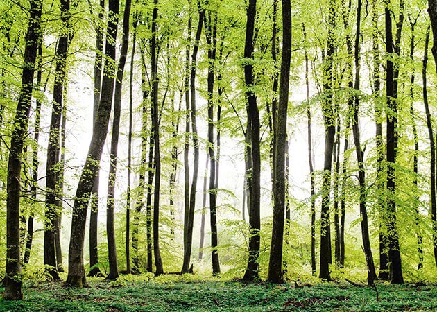 Falra nyomtatás kültéren